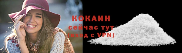 спиды Арсеньев