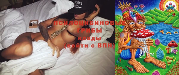 не бодяженный Аркадак